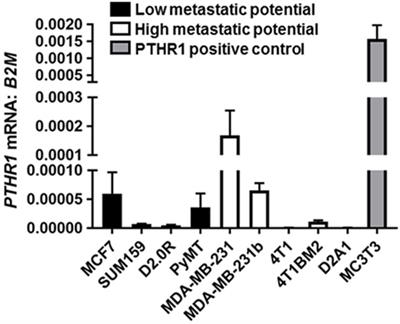 Parathyroid Hormone-Related Protein Negatively Regulates Tumor Cell Dormancy Genes in a PTHR1/Cyclic AMP-Independent Manner